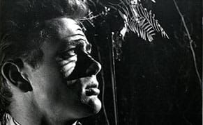 Talking Pictures with a Film Curator of 45 Years