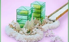 When Consumer Goods Blossom into Otherworldly Fungi