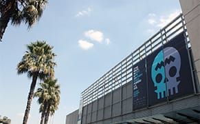 Why Do US and European Galleries Flock to Mexico City's Zona MACO?