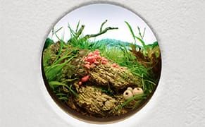 Miniature Landscapes Through the Looking Glass