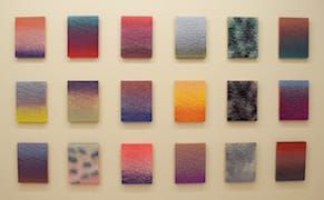 Detail of Julian Lorber, "LA FLASH_Tropic of Cancer" (2014)