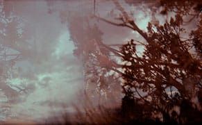 In the Desert, a Vulture Spirit Follows a Trail of Femicide