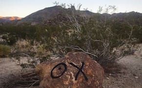 Artist in Trouble for Tagging Joshua Tree National Park