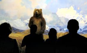 Scientists Ask Natural History Museums to Cut Ties with David Koch