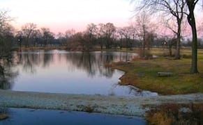 Obama's Presidential Library May Gobble Up Historic Chicago Parkland