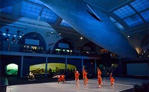 'On the Nature of Things'