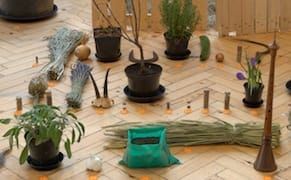 365 Poetic Remembrances of the French Revolutionary Calendar