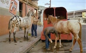 Tracing the Origins of San Francisco's Gentrification