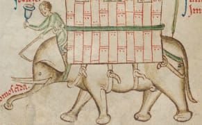 Painting a Kangaroo When You've Never Seen One