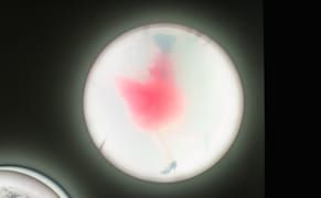 An Aquatic Video Performance Immerses Us in the California Drought