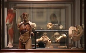 The Singular Worlds of Artists' Personal Collections