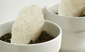 An Artist Turns Invasive Plants into Paper Sculptures