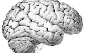 Picking Up Art Later in Life Could Help the Brain