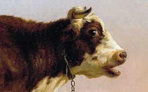 Astrological Aesthetics: May 2015 Horoscopes