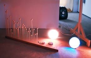 The Familiar Pull of Alien Objects