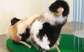 A Ceramicist Captures Nature's Fragility