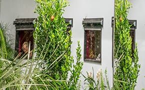 Glimpses of a Pastoral Dystopia