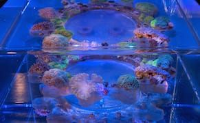 Reuse and Replenish: The Turn Toward Environmentally Conscious Art