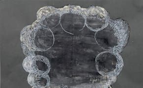 Rorschach Inkblots Conjure Up Themes of Loss in Iran