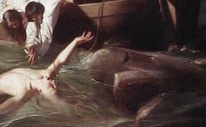 Weekend Words: Shark