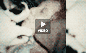 Carolee Schneemann REALLY Loves Her Cat