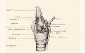 Two Poems by Monica Ong