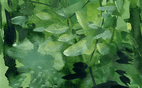 My Relationship with the Color Green