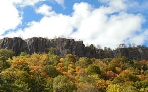 Manhattan's Last Natural Vista Will Be Protected
