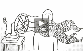 The Unbearable Lightness of Beardos