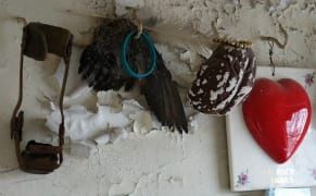 The Art of Accumulation at a New Orleans Shrine to the Plague Saint