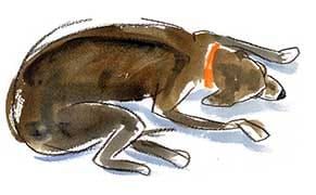 I'm Looking for a Studio Mate