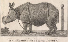 The Freaks and Fascinations of 18th-Century Entertainment