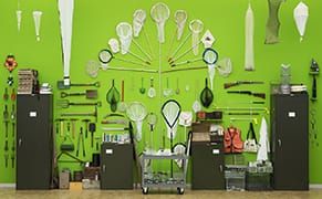 Contemporary Artists Create a New Kind of Order at the Barnes Foundation