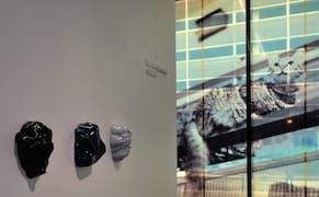 The Biennial of the Americas Hints at Denver’s Growing Pains and Arts Scene