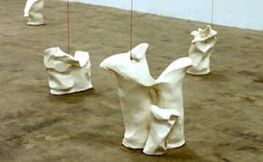 Elastic and Rigid Objects That Bend Our Point of View