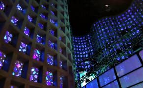 New York's Cathedral of Science Reopens with Interactive Ecology Beneath the Stars