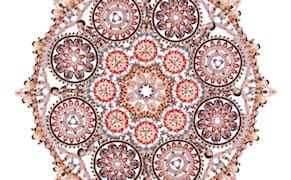 Conservative Politician Demands Removal of Sexual Mandala, Gallery Refuses