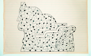 Tracing Devendra Banhart's Visual and Musical Sensibility Through Drawing