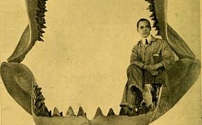 35 Questions for a Would-Be Natural History Curator, in 1910