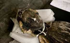 Glasgow Artists Flock to Detroit for a Creative Exchange