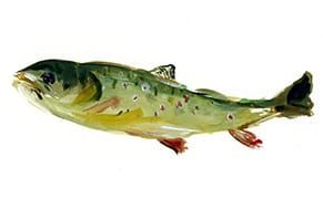 Distractions Are Part of Making Art