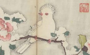 Too Fragile to Open, World’s Oldest Multicolor Printed Book Is Digitized