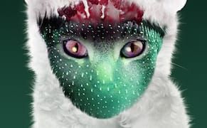 Galantis, Intimacy Machine