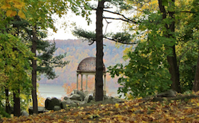 ArtRx NYC: Summer Day Trips