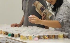 Artists Interpret a Colonial Collection of 125,660 Indonesian Specimens