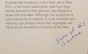 Artists Take Pens to Their Wall Labels at the Lyon Biennale