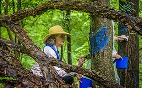 Using Art to Stop a Pipeline