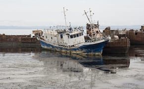 Two Poems by Christopher Bolin