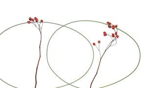 The Melancholy Art of Japanese Floral Arrangements