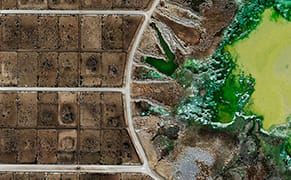 The Surreal Beauty of Feedlots by Satellite
